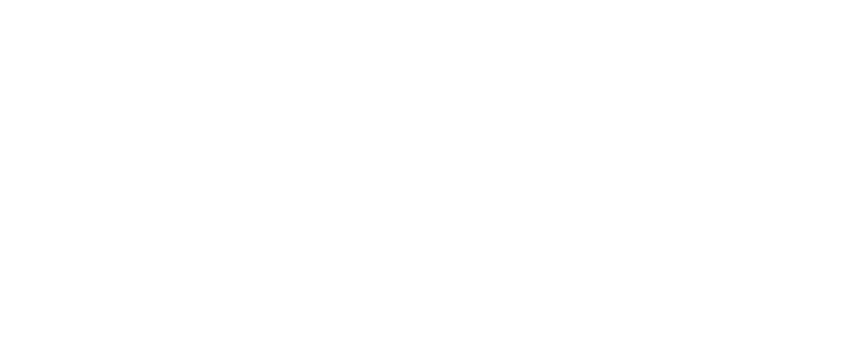 Hoshizaki Ice Machine Repair